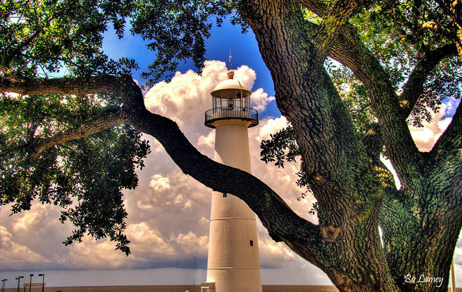 lighthouse behind a branch of a tree